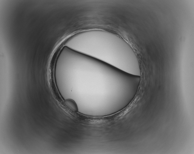 X0000114490342200910191121
