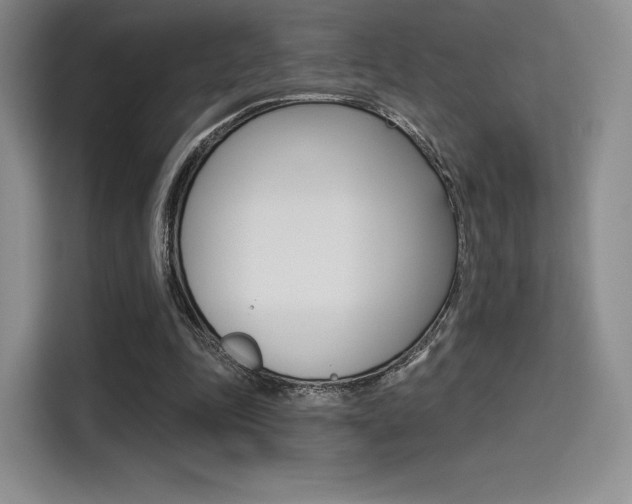X0000114490343200910191121
