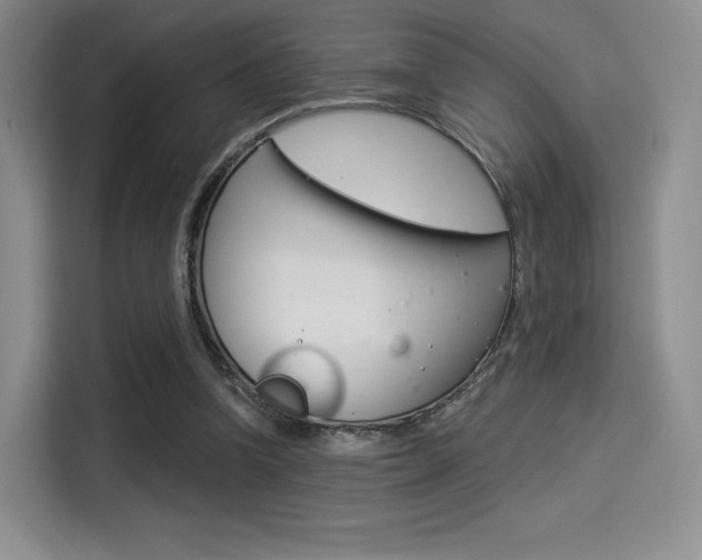 X0000114490346200910191121