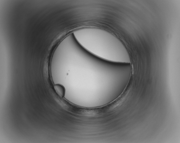 X0000114490349200910191121