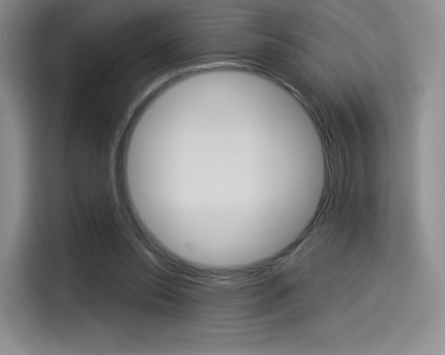 X0000114490350200910191121