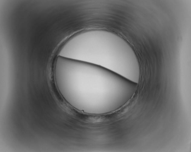 X0000114490351200910191121