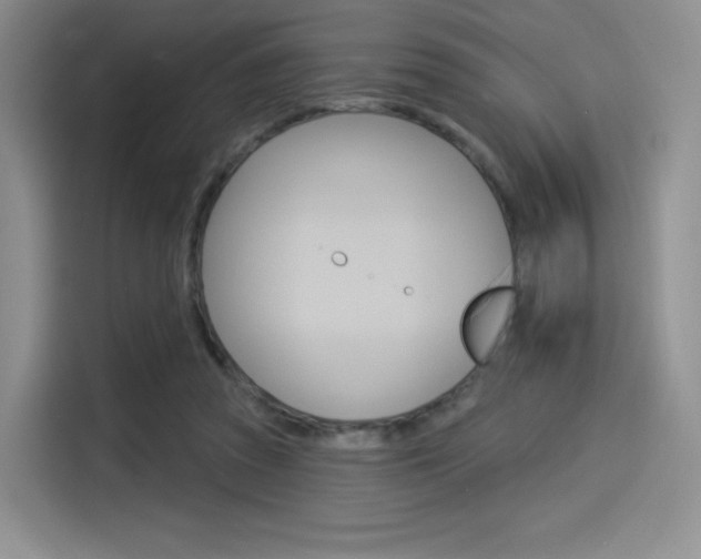 X0000114490353200910191121