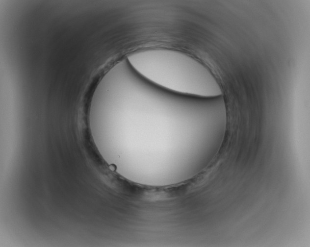 X0000114490354200910191121