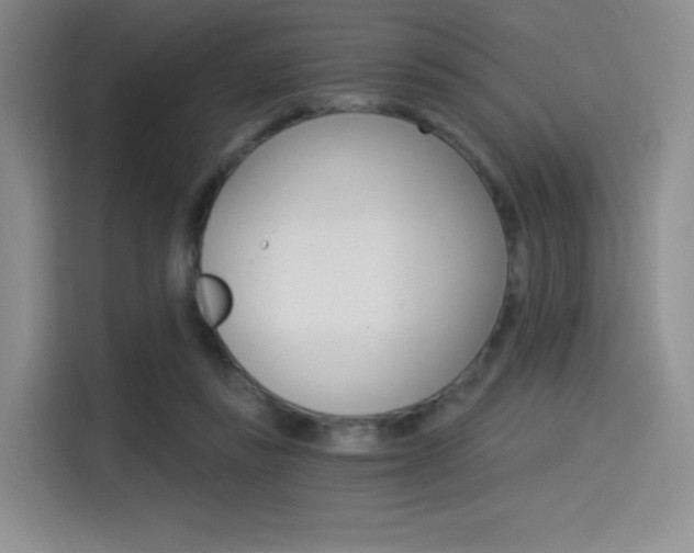 X0000114490355200910191121