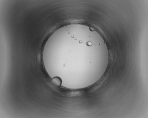 X0000114490357200910191121