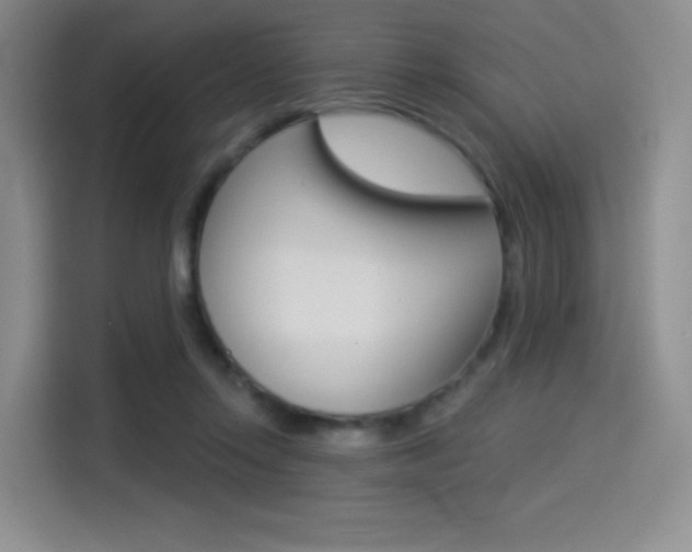 X0000114490358200910191121