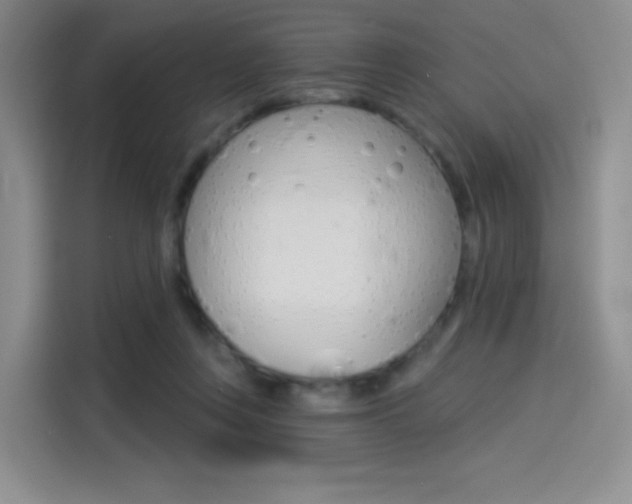 X0000114490359200910191121