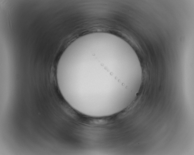 X0000114490361200910191121