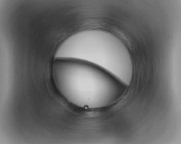 X0000114490362200910191121