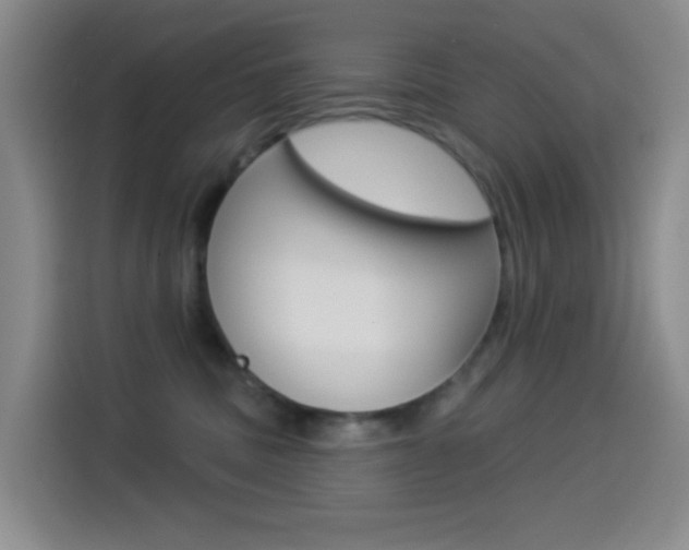 X0000114490379200910191121