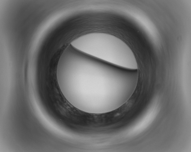 X0000114490383200910191121