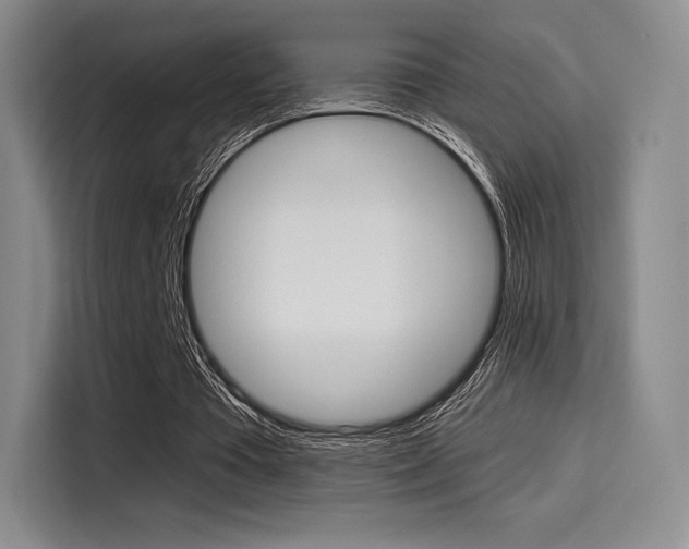X0000114490385200910191121