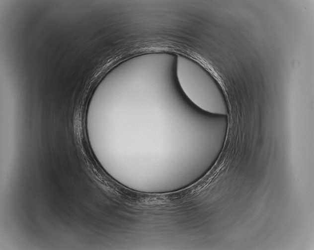 X0000114490386200910191121