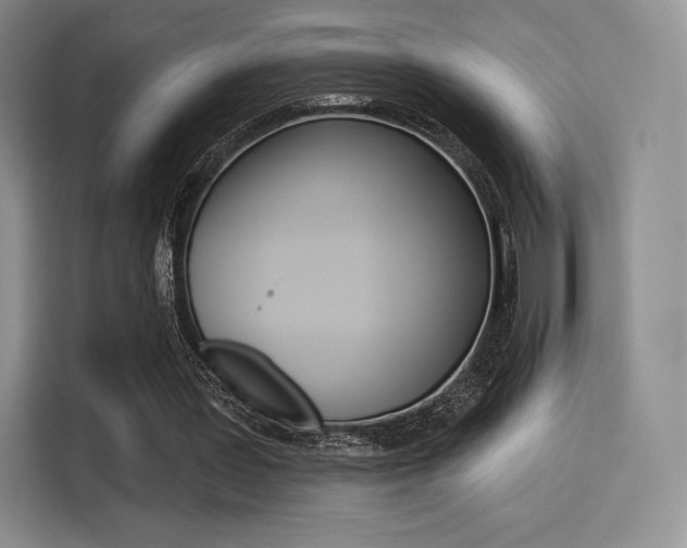 X0000114490387200910191121