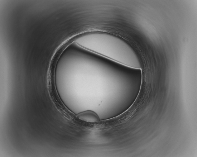 X0000114490388200910191121