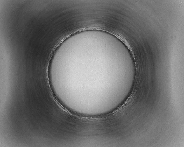 X0000114490389200910191121