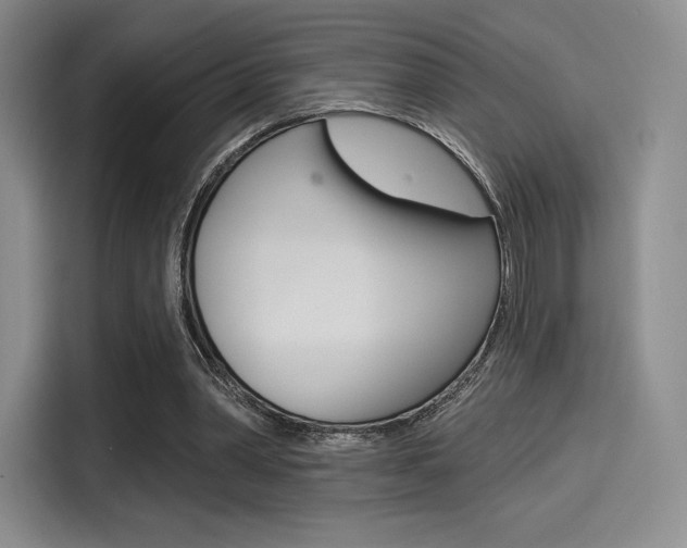 X0000114490390200910191121
