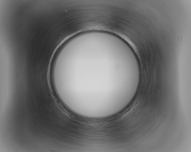 X0000114490391200910191121