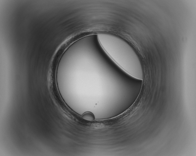 X0000114490392200910191121