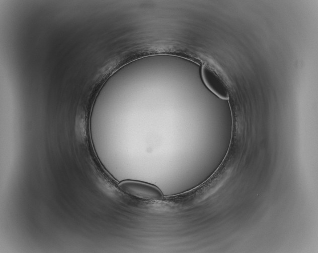 X0000114490393200910191121