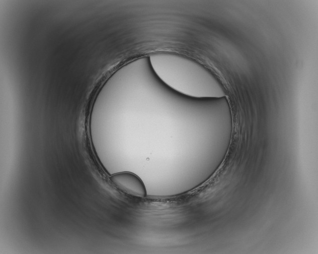 X0000114490394200910191121