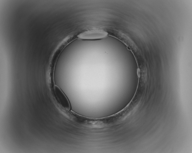 X0000114490395200910191121