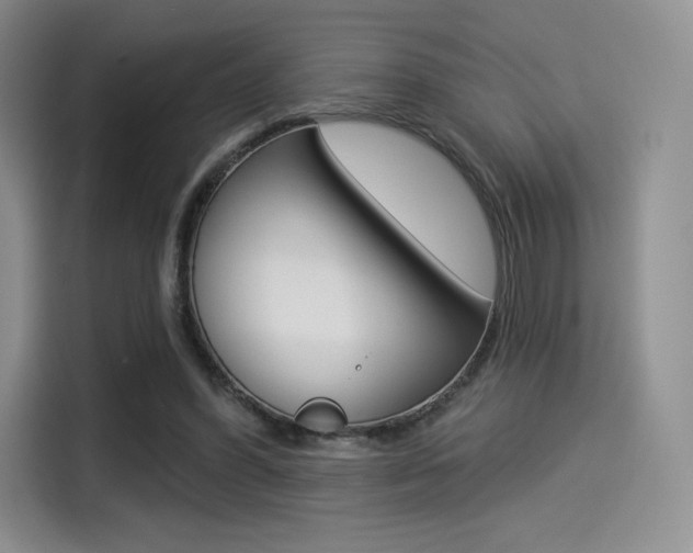X0000114490396200910191121