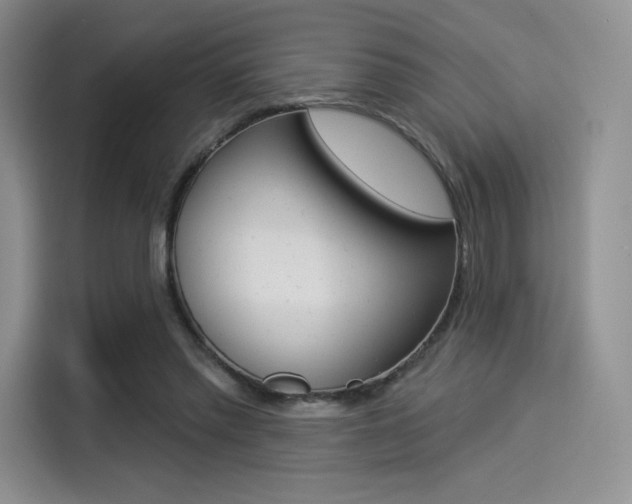 X0000114490397200910191121