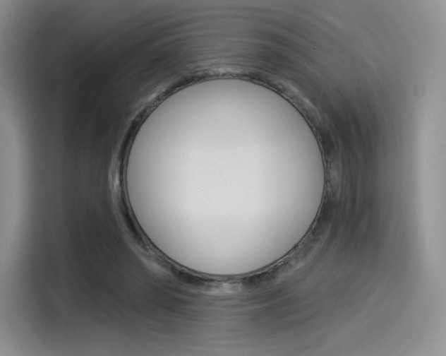 X0000114490398200910191121