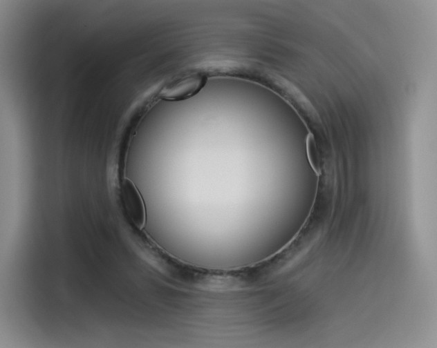 X0000114490399200910191121