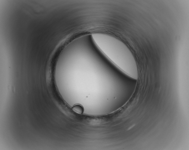 X0000114490400200910191121