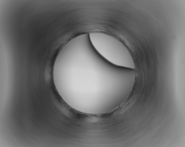 X0000114490402200910191120