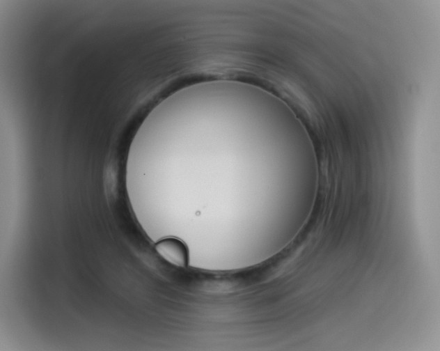 X0000114490404200910191120