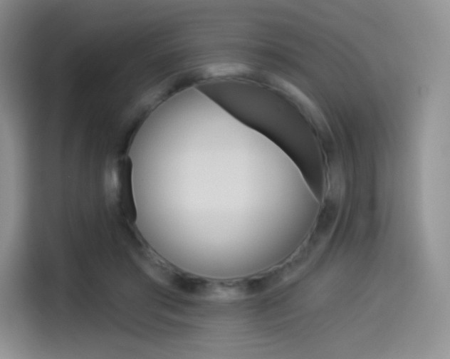 X0000114490405200910191120