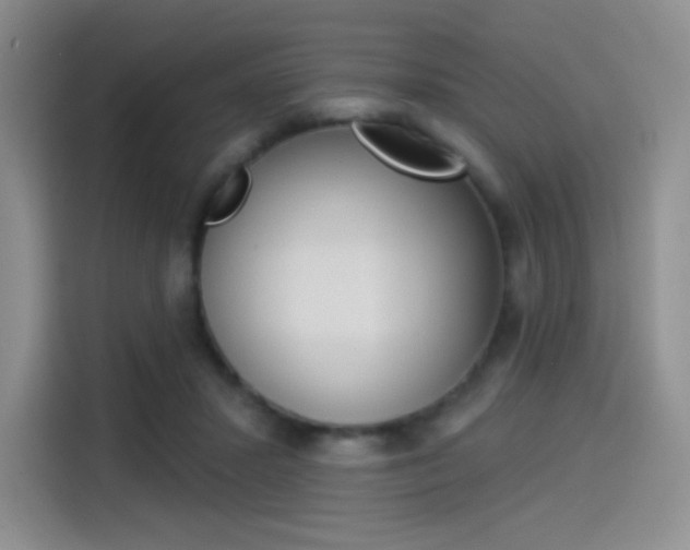 X0000114490407200910191120