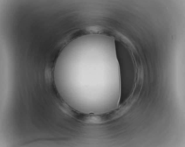 X0000114490409200910191120