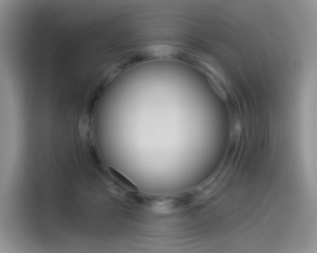 X0000114490411200910191120