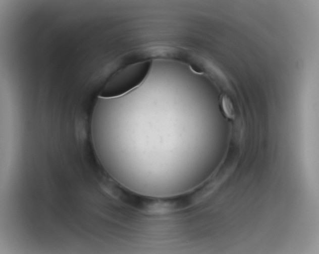 X0000114490413200910191120