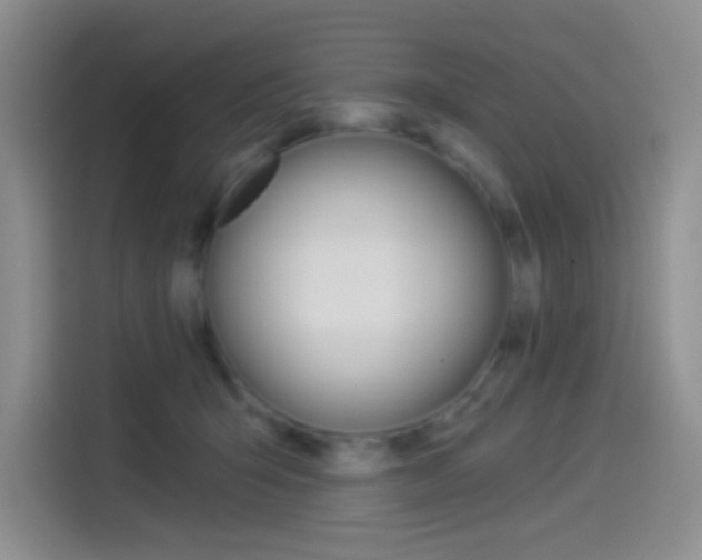 X0000114490415200910191120