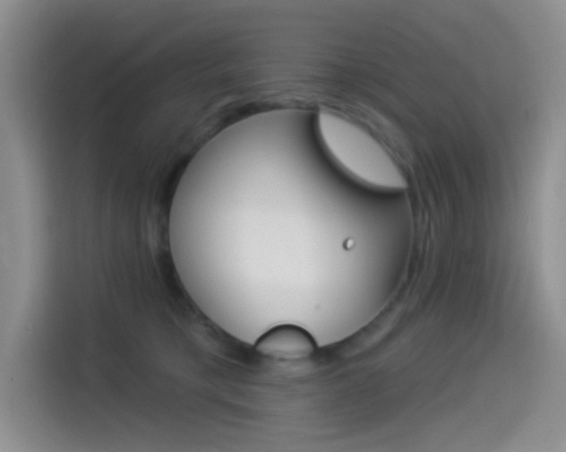 X0000114490421200910191120