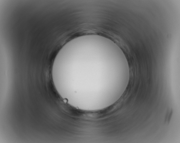 X0000114490422200910191120