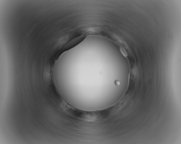 X0000114490423200910191120