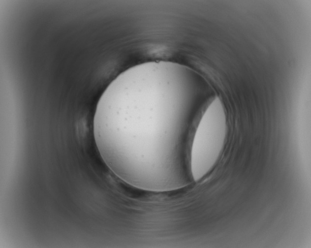 X0000114490424200910191120