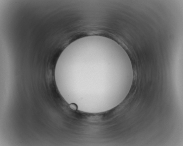 X0000114490426200910191120