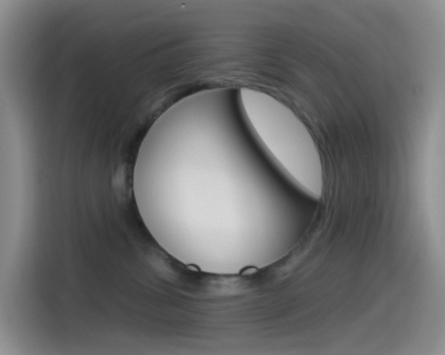 X0000114490428200910191120