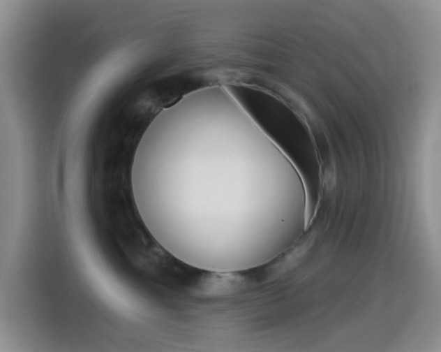X0000114490429200910191120