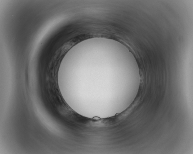 X0000114490430200910191120