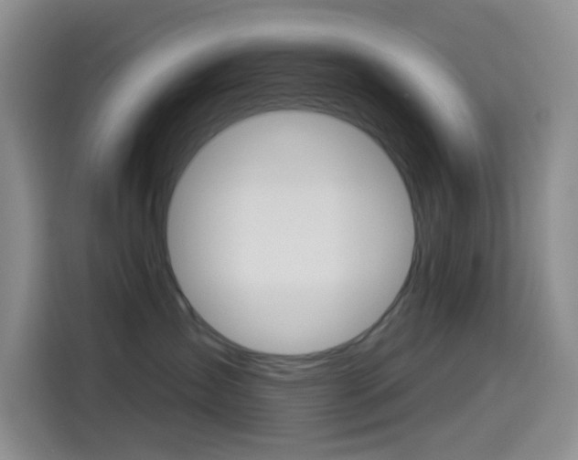 X0000114490431200910191120