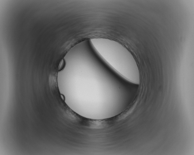 X0000114490432200910191120